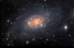 NGC2403.jpg (184107 bytes)
