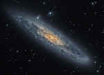 NGC253.jpg (209814 bytes)
