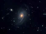 NGC772.jpg (126209 bytes)